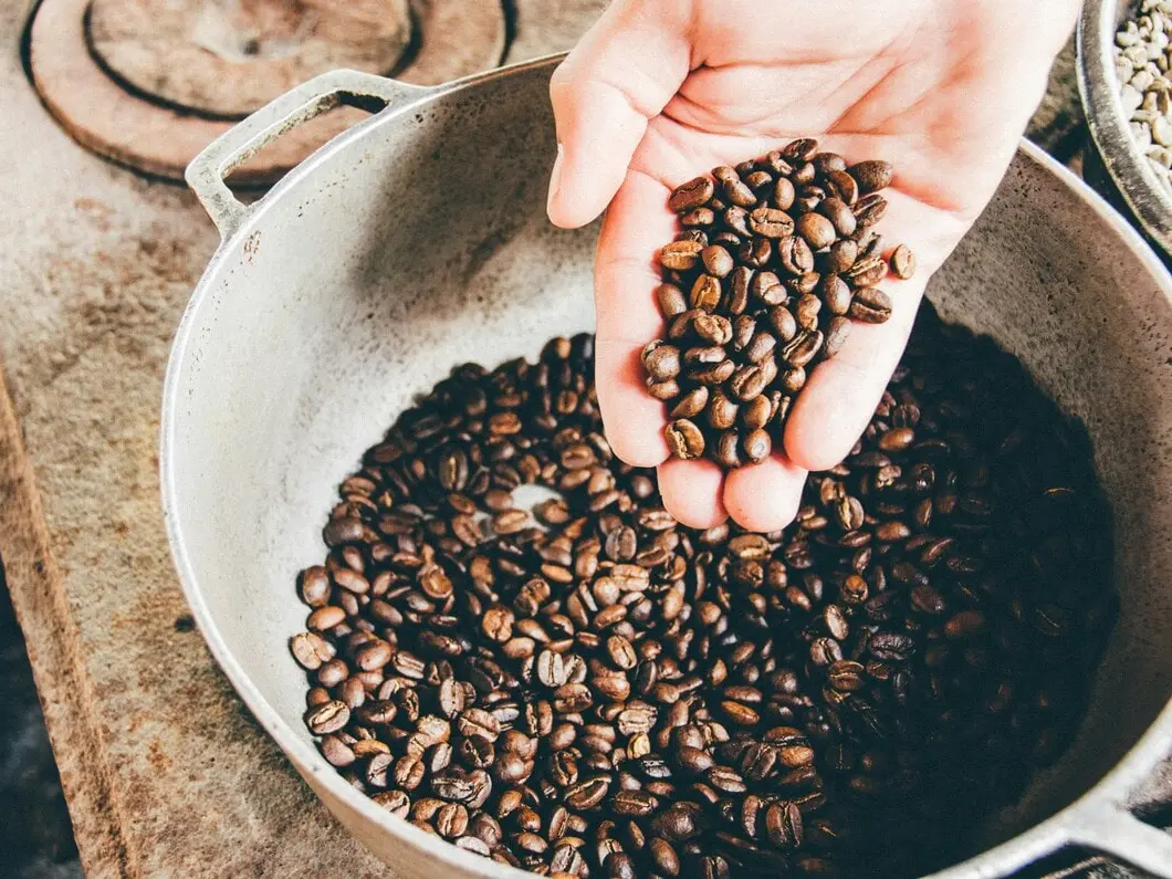 Main versant des grains de café dans une casserole